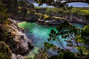 Point Lobos-3438.jpg